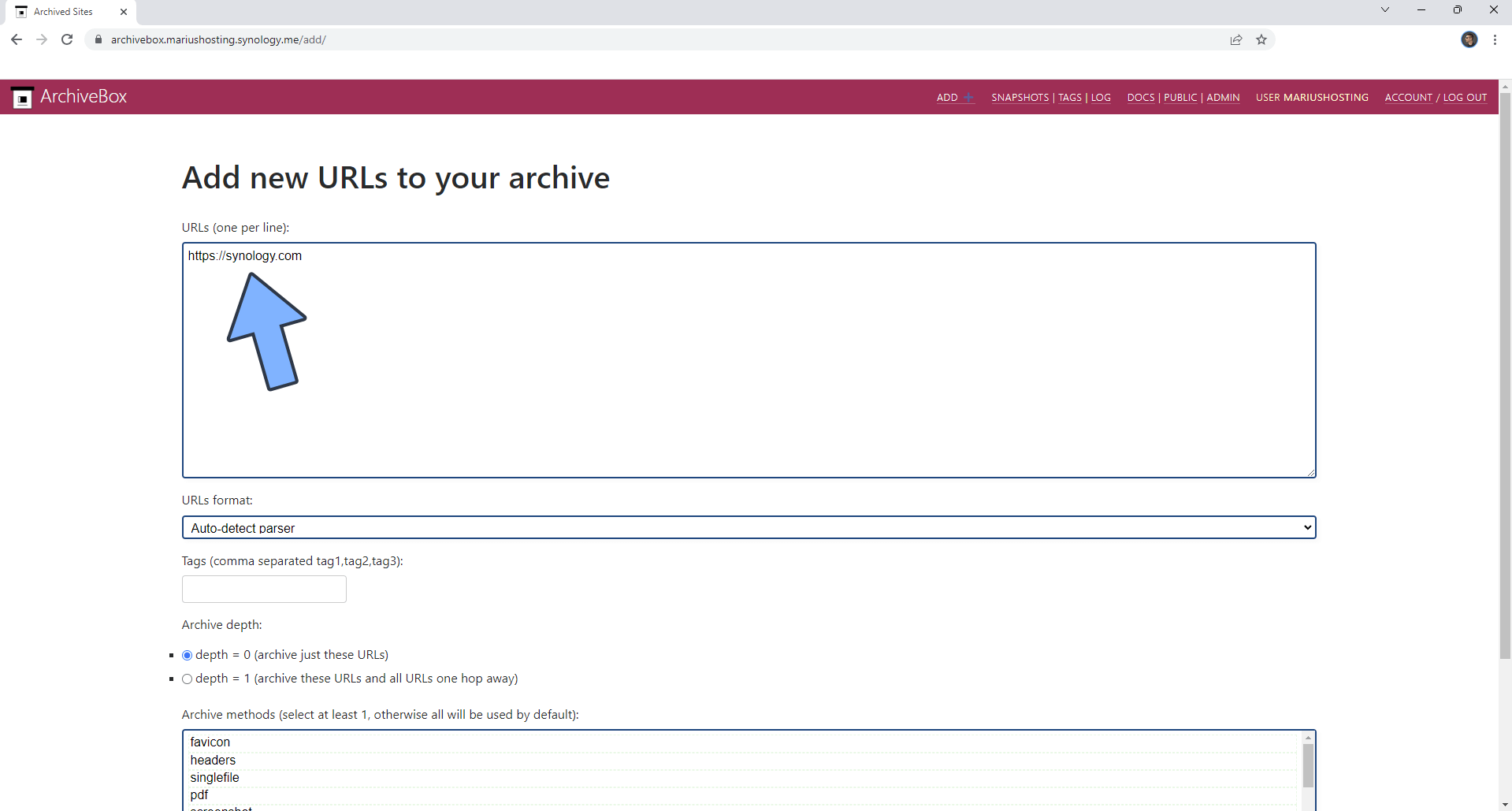 ArchiveBox Synology NAS Set up 21